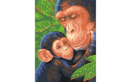 * Paintsworks Learn to Pa int - Chimp(Damaged Box)