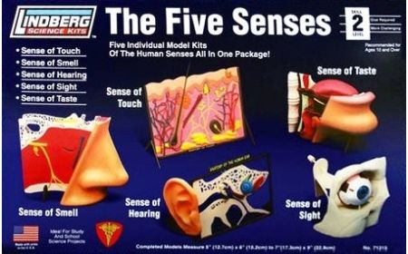 *Lindberg - The Five Senses