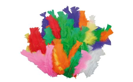 Playbox - Turkey Feathers Coloured 60 Pcs (Damaged Box)