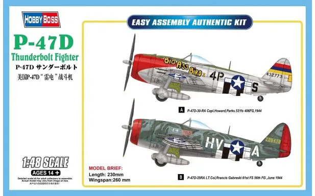 Hobbyboss 1:48 - P-47D Thunderbolt Fighter (Dam Box)